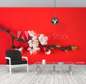 Picture of Flowering branch on a bright background